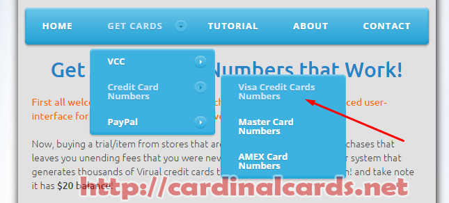 Get Working VISA Credit Card Numbers + CVV or Security ...