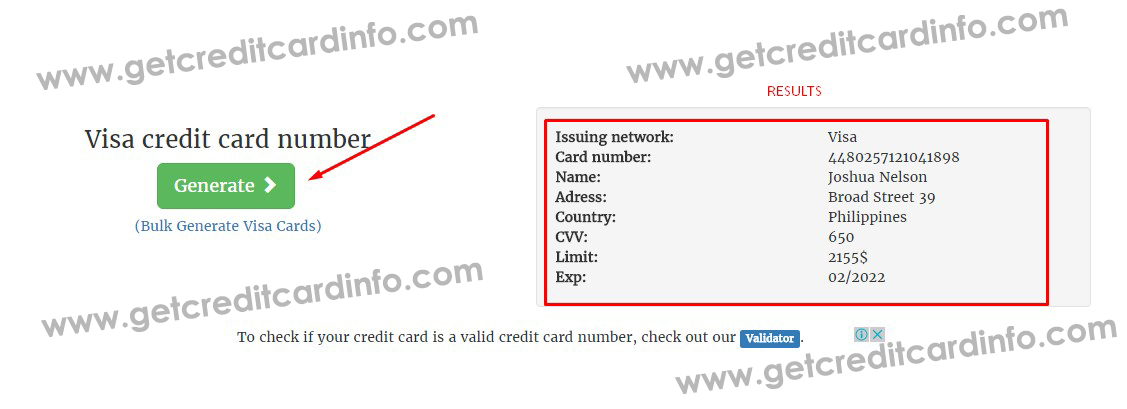 How to Generate a Visa Credit Card Number with Details