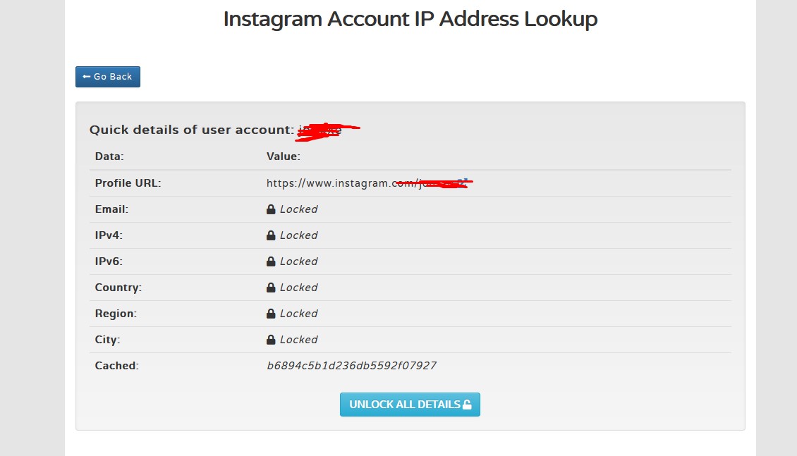 Instagram Account IP Address Lookup
