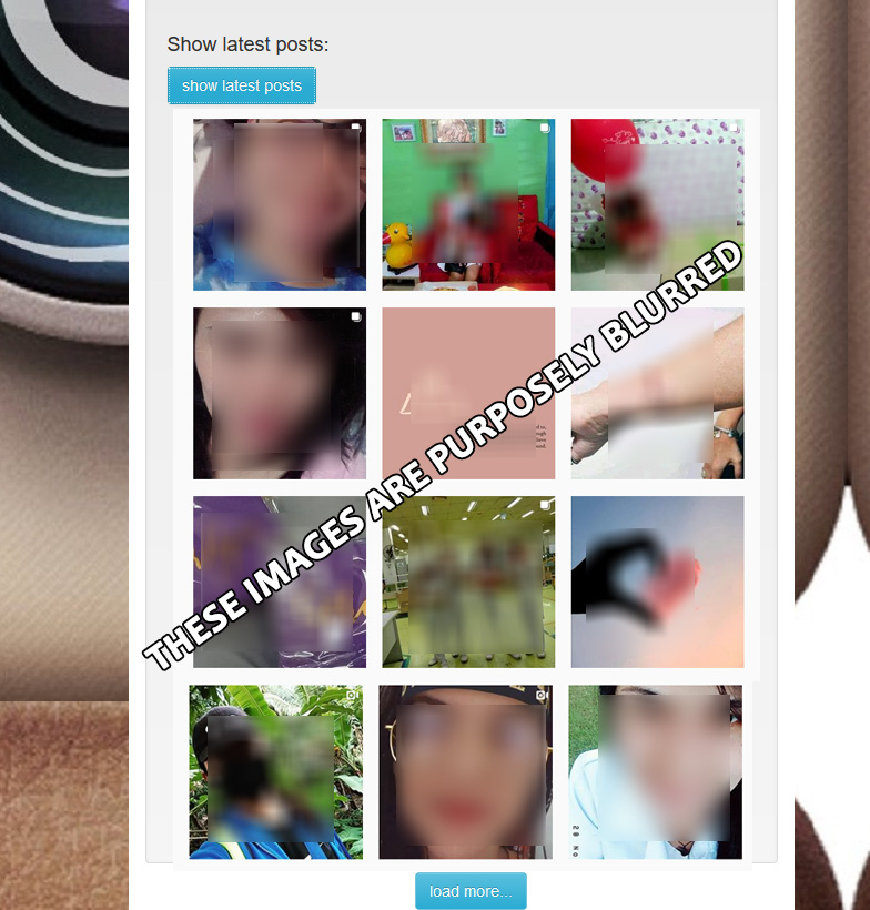 Reveal the contents of a private instagram account using instastalker by privateview.top