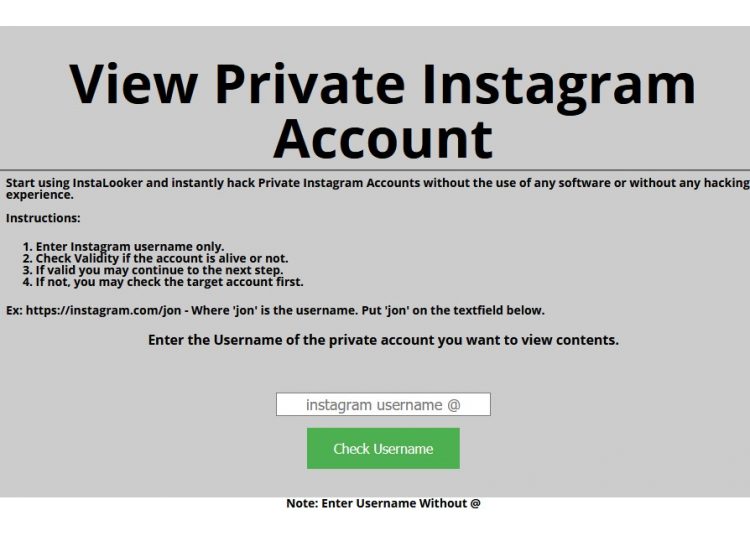 how to view private instagram accounts