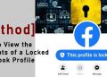 how to view the contents of a locked facebook profile